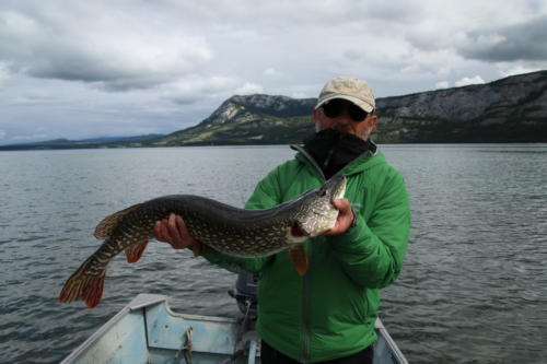 The Wandering Angler - Yukon Lodge0020 (3)