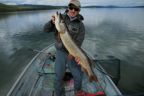 The Wandering Angler - Yukon Lodge0022 (3)