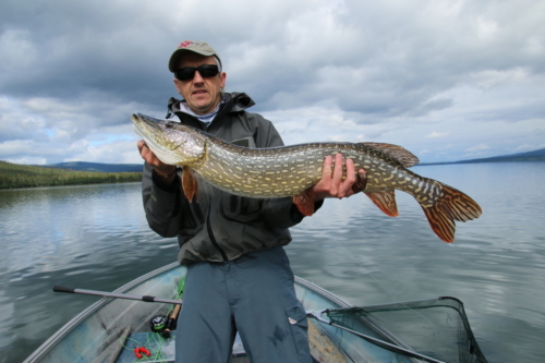 The Wandering Angler - Yukon Lodge0025 (5)