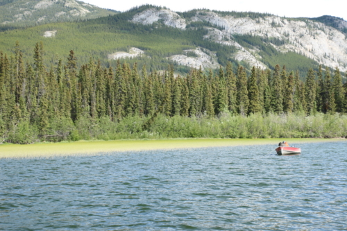 The Wandering Angler - Yukon Lodge0040 (4)