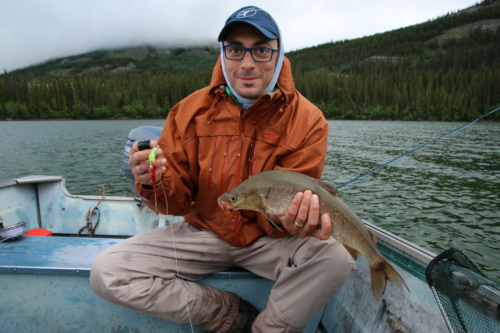 The Wandering Angler - Yukon Lodge0113 (4)