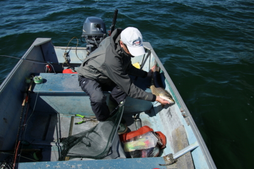 The Wandering Angler - Yukon Lodge0173 (4)