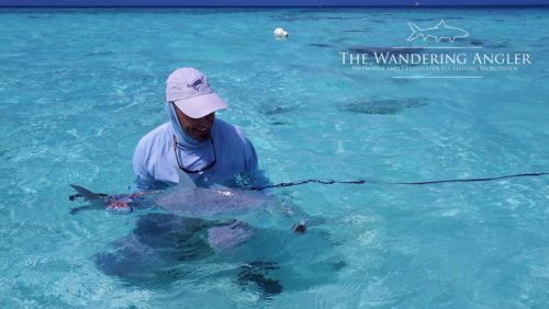 The Wandering Angler January 2019 trip 035 (2)