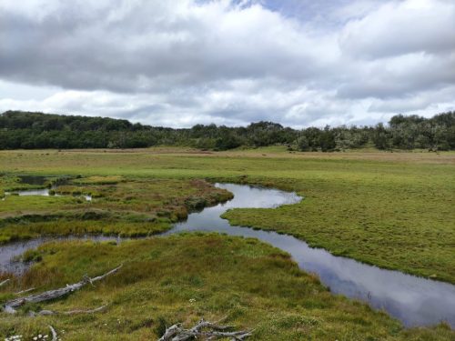Tierra-del-Fuego-001